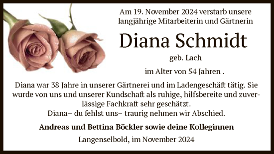 Traueranzeige von Diana Schmidt von OF